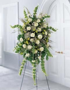 Splendor Standing Spray