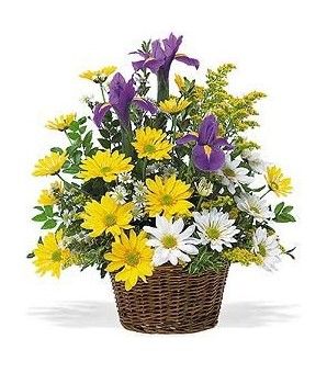 Spring Basket