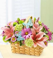 Spring Inspiration Spring Inspiration