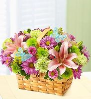 Spring Inspiration