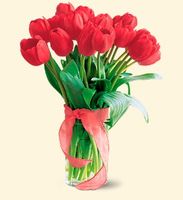 Spring Tulips Deluxe - Red Spring Tulips Deluxe - Red