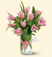 Spring Tulips - Light Pink Spring Tulips - Light Pink