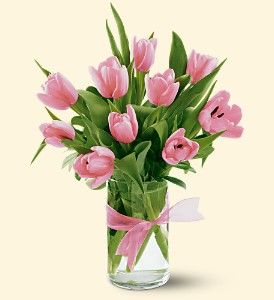 Spring Tulips - Light Pink
