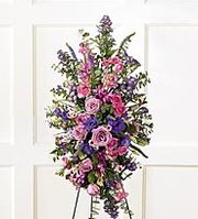 ssings of the Earth Easel