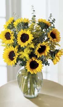 Sunflower Bouquet
