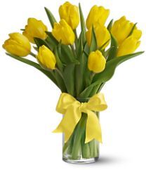 Sunny Yellow Tulips Flowers