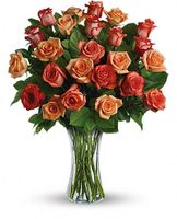 Sunrise Splendor Flowers Sunrise Splendor Flowers