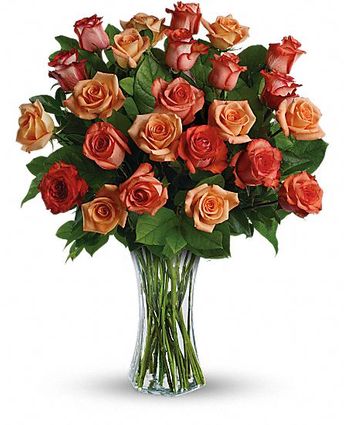 Sunrise Splendor Flowers