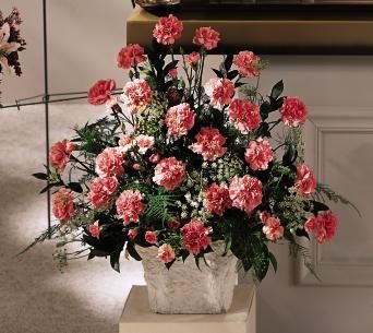 Symapthy Basket Carnations Arrangements