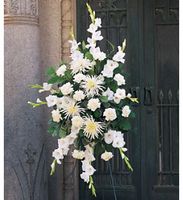 Symapthy  White Promises Spray