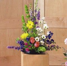 Sympathy Larkspur and delphinium Flower