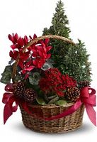 Tannenbaum Basket