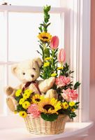 Teddy bear and flower basket Teddy bear and flower basket