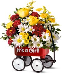 Teleflora's Baby's First Wagon - Girl