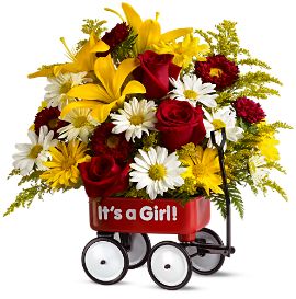 Teleflora's Baby's First Wagon - Girl
