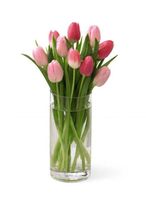 Tender Tulips Bouquet Tender Tulips Bouquet
