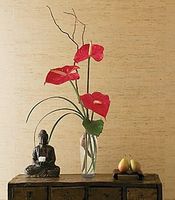 The Simplicity of Anthuriums