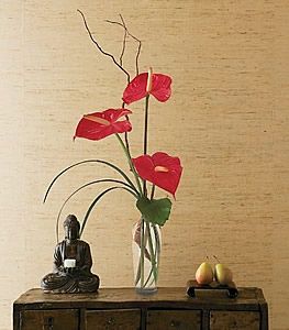 The Simplicity of Anthuriums