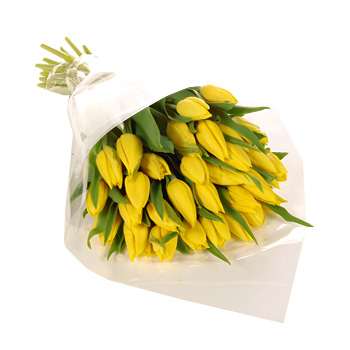 Thirty Yellow Tulips in vase