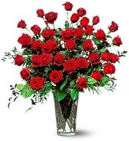 Three Dozen Red Roses Anniversary