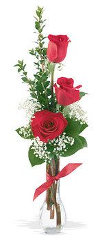 Three Roses in a Bud Vase