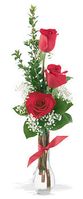 Three Roses in a Bud Vase