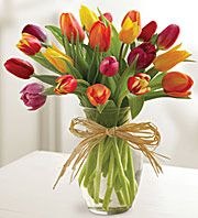Timeless Tulips