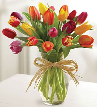 Timeless Tulips