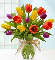 Timeless Tulips Timeless Tulips
