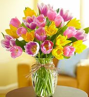 Timeless Tulips