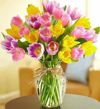 Timeless Tulips 