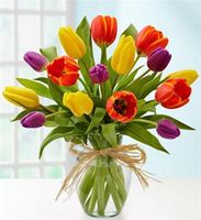Timeless Tulips Valentine