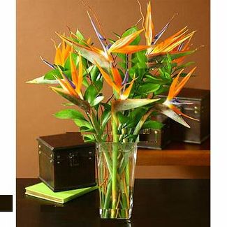 Tropical birds of paradise bouquet