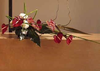 Tropical with Athurium