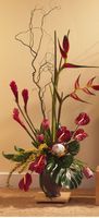 Tropical with Heliconia Tropical with Heliconia