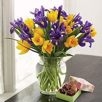 Tulip and Iris Bouquet