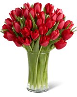 Tulip Bouquet Tulip Bouquet