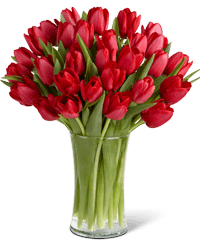  Tulip Bouquet 