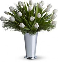 Tulips and Pine Tulips and Pine