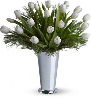 Tulips and Pine
