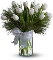 Tulips and Pine Flowers 