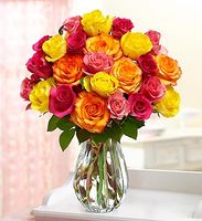 Multicolored Roses 