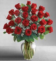 Two Dozen Premium Long Stem Red Roses 