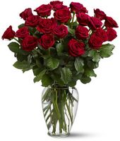 Two Dozen Red Roses Just Becasuse