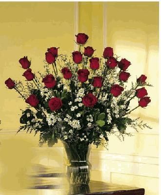 Two Dozen Roses