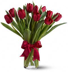 Valentine Red Tulips