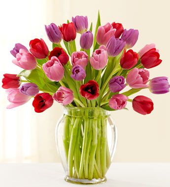 Valentine's tulips