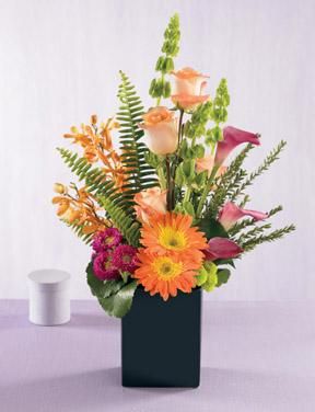 variety of flowers and greens 