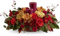 Warm and Wonderous