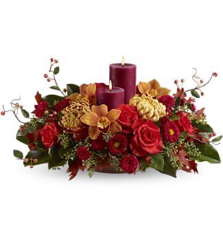 Warm and Wonderous